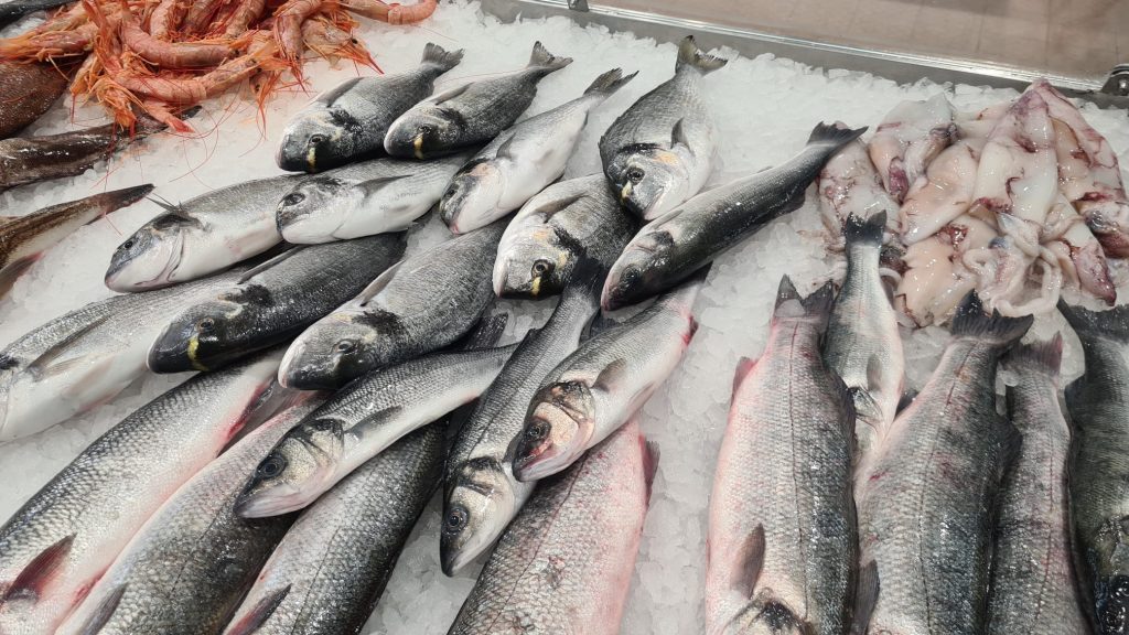 Fischmarkt in Zadar