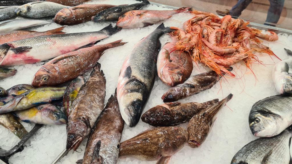 Fischmarkt in Zadar