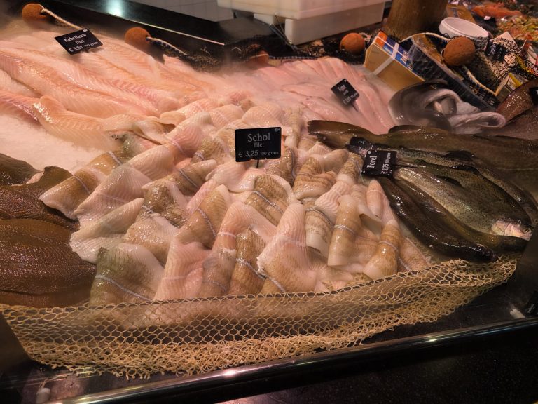 Der Fischsommelier Domke in den Niederlanden_3