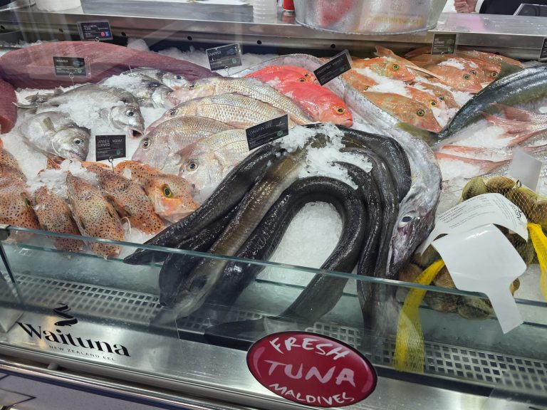 Frischer Fisch in der Kühlung