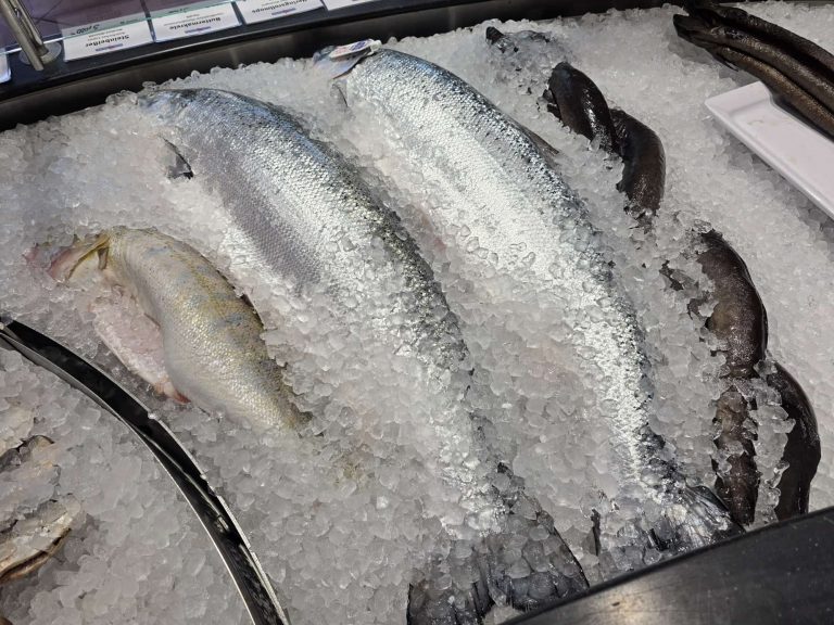 frischer Fisch auf Eis-Domkes Fischeck in Ahlbeck | Frischer Fisch & pommersche Küche auf Usedom